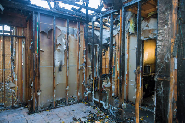 Professional Fire Damage Cleanup technician working in Dundas, MN